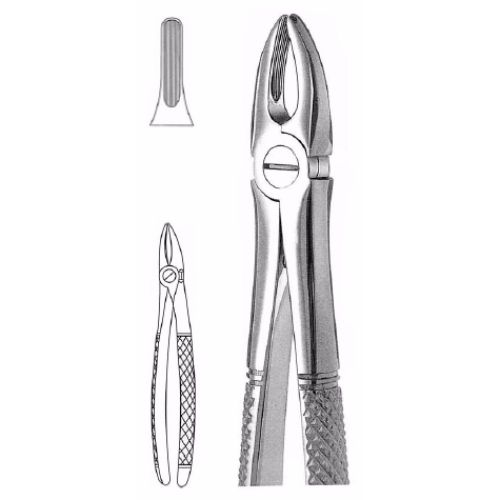 Extracting Forceps # 2, English Pattern  - JFU Industries