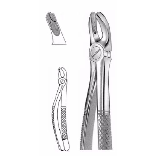 Extracting Forceps # 17, English Pattern  - JFU Industries