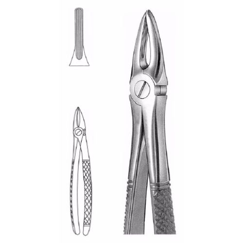Extracting Forceps # 29, English Pattern  - JFU Industries