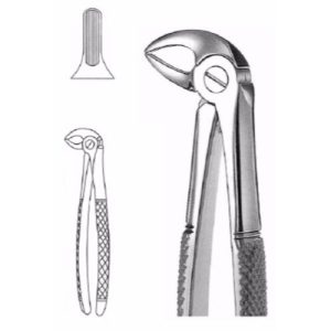 Extracting Forceps # 33, English Pattern  - JFU Industries