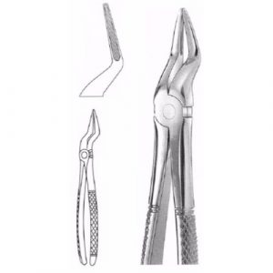 Extracting Forceps # 51 A, English Pattern  - JFU Industries