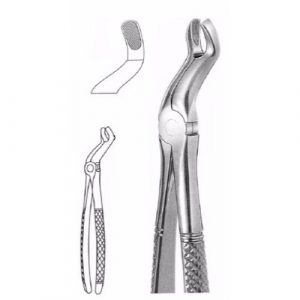Extracting Forceps # 67, English Pattern  - JFU Industries