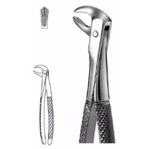 Extracting Forceps # 73, English Pattern  - JFU Industries