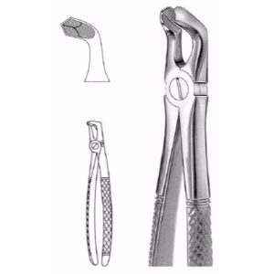 Extracting Forceps # 79, English Pattern  - JFU Industries