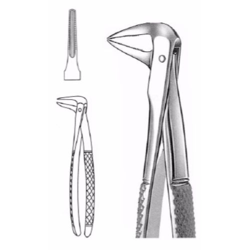 Extracting Forceps # 233, English Pattern  - JFU Industries