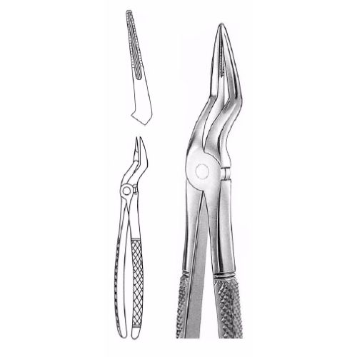 Extracting Forceps # 235, English Pattern  - JFU Industries