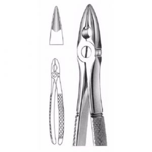 Mead Extracting Forceps # Md 1, English Pattern  - JFU Industries