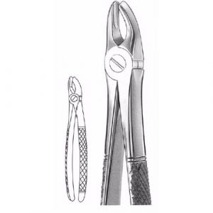 Mead Extracting Forceps # Md 2, English Pattern  - JFU Industries