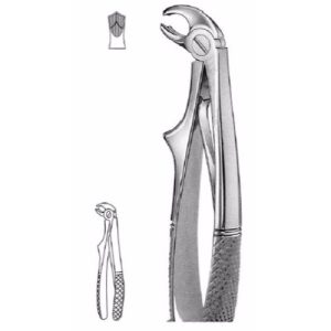 Klein Extracting Forceps # 6, English Pattern  - JFU Industries