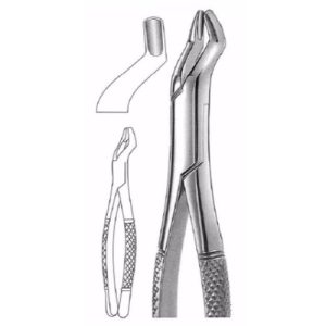 Extracting Forceps # 10 S, American Pattern  - JFU Industries
