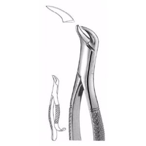 Extracting Forceps # 16 Sk, American Pattern  - JFU Industries