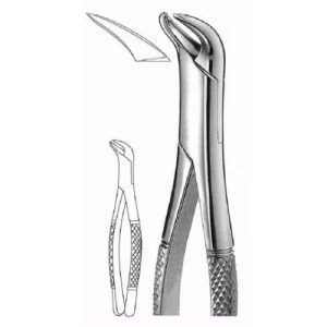 Extracting Forceps # 23, American Pattern  - JFU Industries