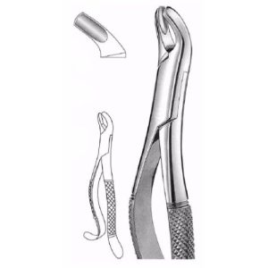 Extracting Forceps # 24, American Pattern  - JFU Industries