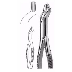 Extracting Forceps # 53 L, American Pattern  - JFU Industries