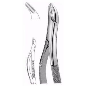 Extracting Forceps # 62, American Pattern  - JFU Industries