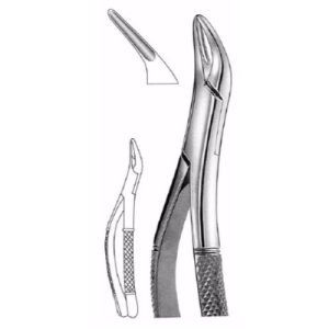 Extracting Forceps # 69, American Pattern  - JFU Industries