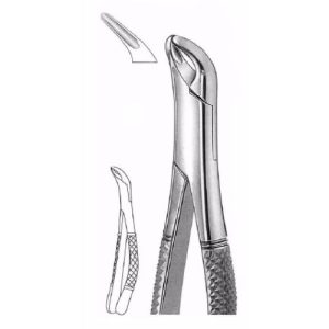 Extracting Forceps # 151 Xas, American Pattern  - JFU Industries